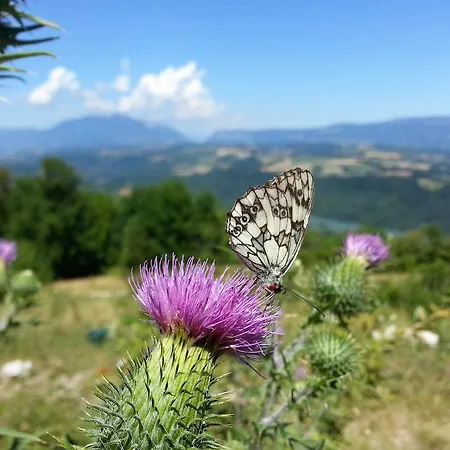 Eco Refuge